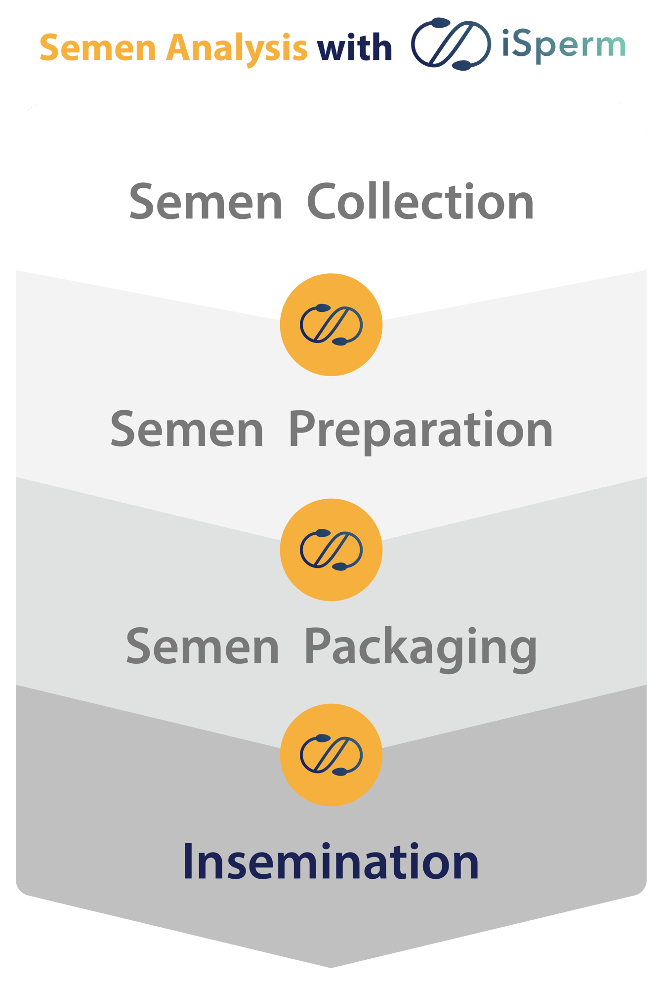 Semen Analysis with iSperm-直-2
